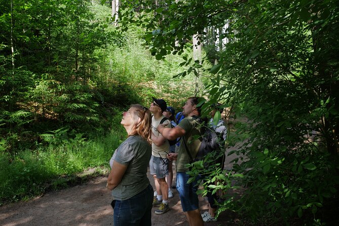 3 in 1 Tour Brewery & Castle in Bohemian Paradise Unesco Geopark - Leaving Prague in a private pickup van