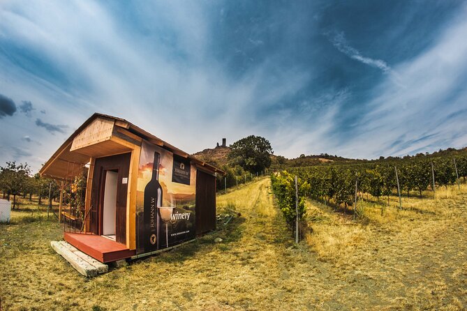 A delightful wine tasting in the scenic countryside with lunch - Lunch in a small Czech restaurant