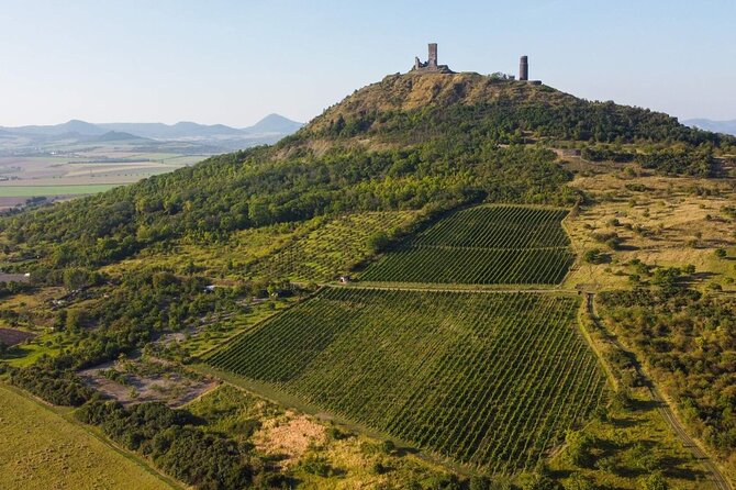A delightful wine tasting in the scenic countryside with lunch - A close look at one Czech winery