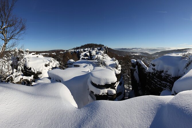 Bohemian Switzerland From Prague with Brewery Tour & Beer Tasting - What the $203.70 price includes