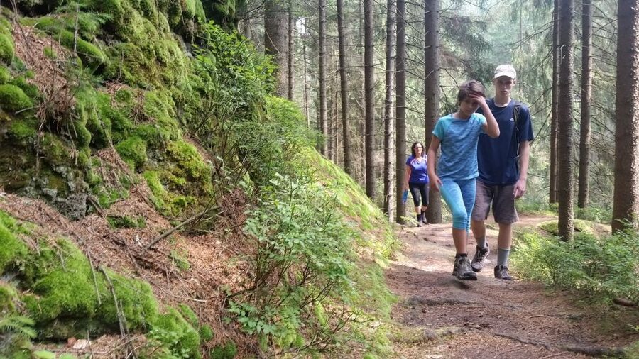 Bohemian Switzerland: Private Day Trip from Prague - From Prague to Bohemian Switzerland by private car