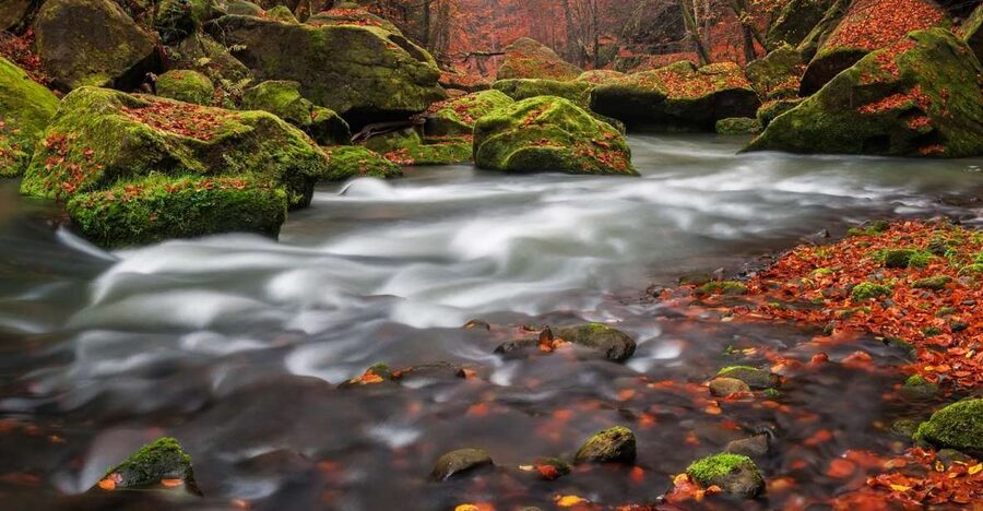 Bohemian Switzerland: Private Day Trip from Prague - How private guiding changes the day