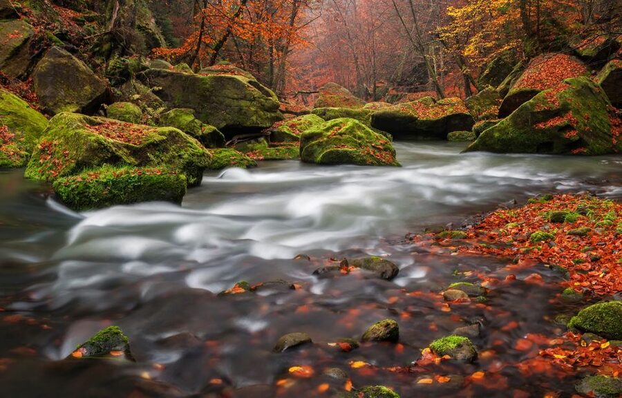 Bohemian Switzerland: Private Day Trip from Prague - Walking toward Pravčická Brána