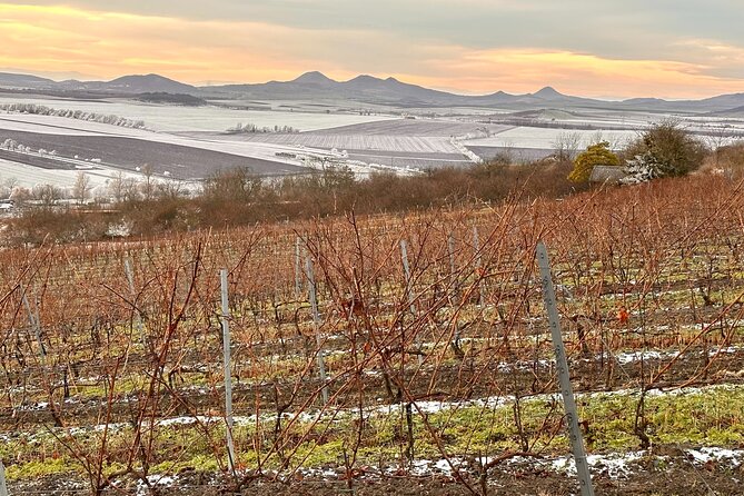 Cozy Winter Countryside Tour 4x4: Experience Authentic Bohemia - Castles, wildlife, garnets, and villages by request
