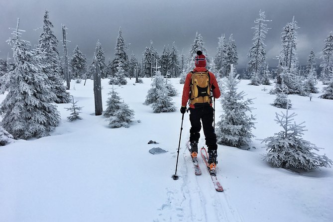 Cross-Country Skiing Guided Tour From Prague - Lunch in Liberec, with local choices