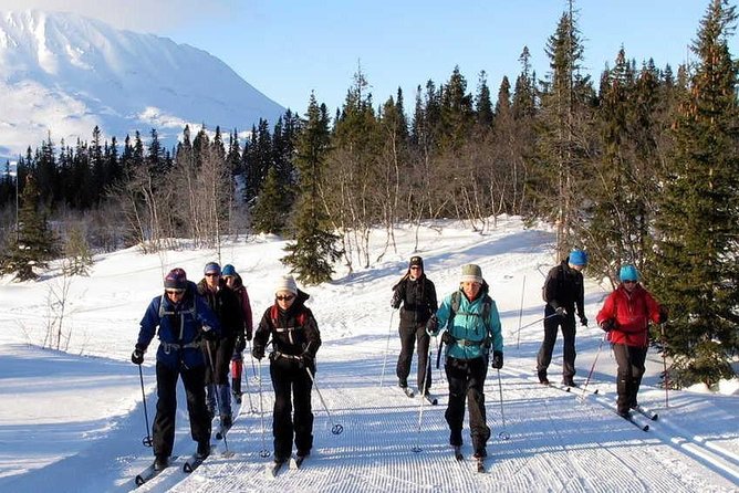 Cross-Country Skiing Guided Tour From Prague - What the $313 price really covers