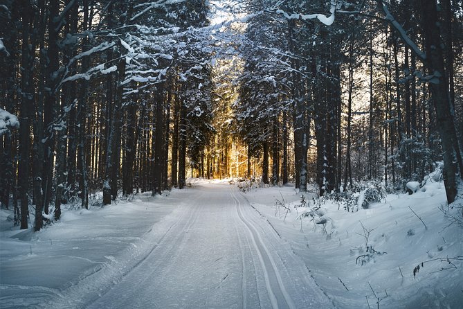 Cross-Country Skiing Guided Tour From Prague - Who should book this mountain day