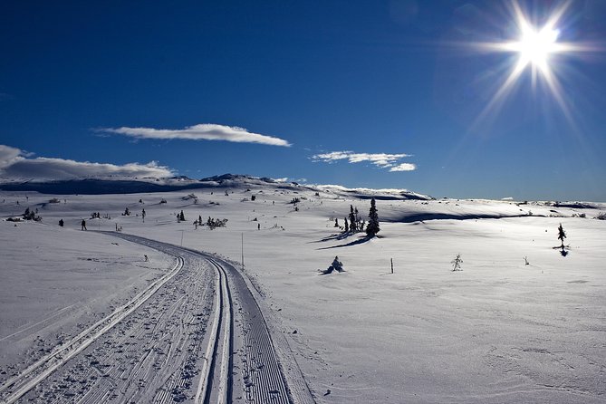 Cross-Country Skiing Guided Tour From Prague - Five hours across forests and snowy tracks