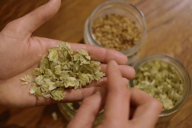 Czech Beer Tasting Experience - Seven Czech beers in one compact Prague session