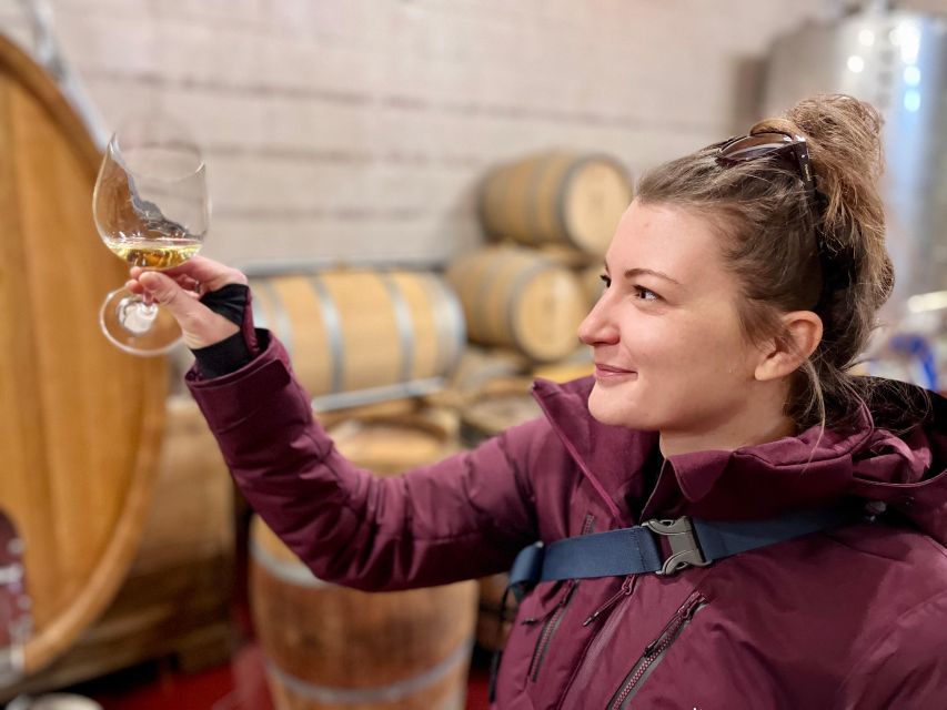 Czech Vineyards and Wine Tasting 4WD Tour with Lunch - Key details before you book