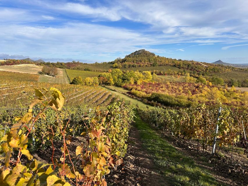 Czech Vineyards and Wine Tasting 4WD Tour with Lunch - Practical details for a smoother day
