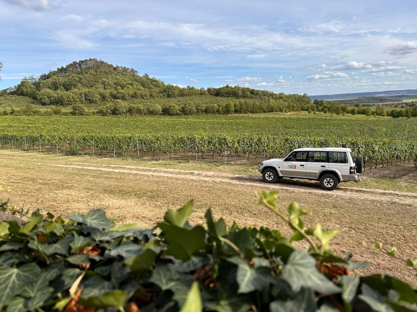 Czech Vineyards and Wine Tasting 4WD Tour with Lunch - Vineyards, volcanic hills, and the Jewish cemetery