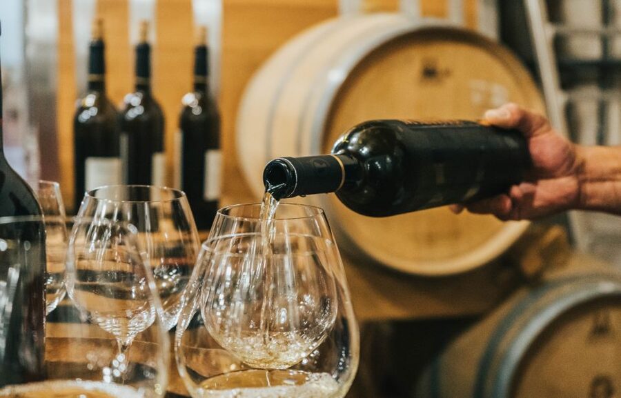Czech Vineyards and Wine Tasting 4WD Tour with Lunch - Lunch with five gothic castles in view