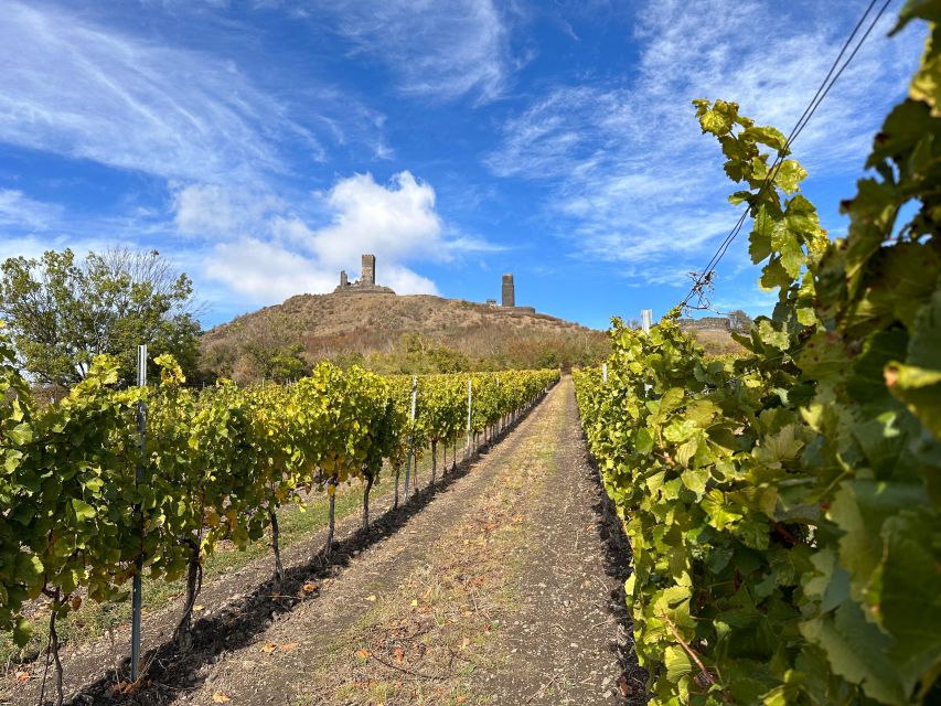 Czech Vineyards and Wine Tasting 4WD Tour with Lunch - A seven-hour day that stays easy
