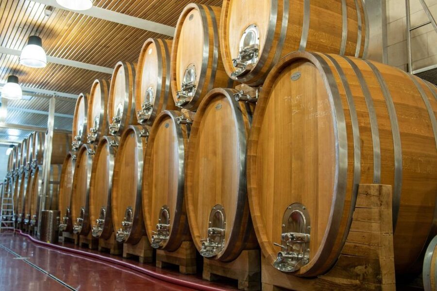 Czech Vineyards and Wine Tasting 4WD Tour with Lunch - Who will enjoy this Czech wine day