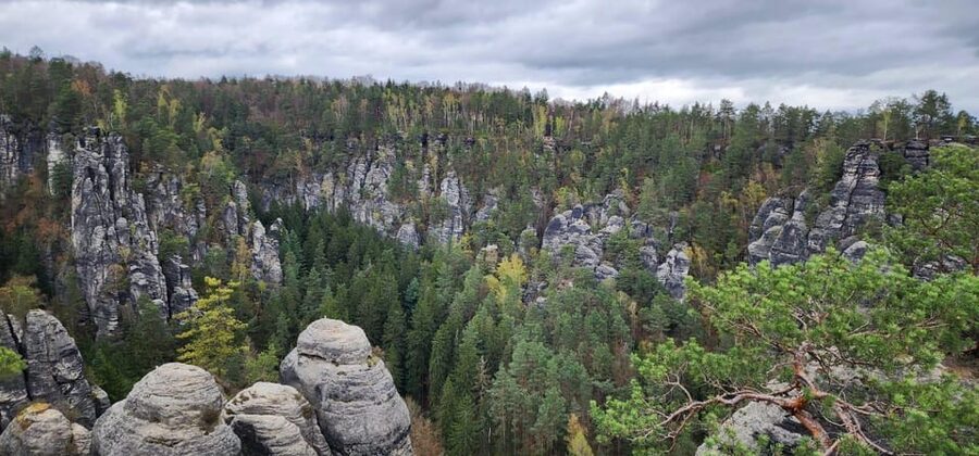 Day trip from Prague to Bohemian and Saxon Switzerland - Who should book this day trip