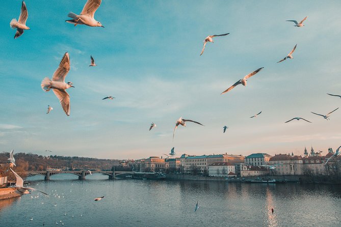 Discover Prague’s most Photogenic Spots with a Local - Kafka’s rotating head and Freud overhead