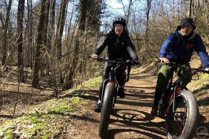 FAT TIRE E-BIKE GREAT TOUR - river, parks & panoramic views tour - Queen Anne’s Summer Palace and Prague Castle