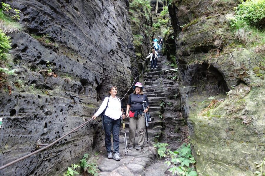 From Prague: Bohemian & Saxon Switzerland All-Inclusive Tour - Is the $193 price fair?