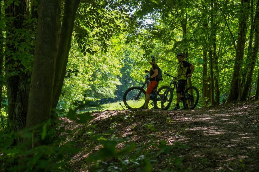 From Prague: E-Mountain Biking Trip to the Bohemian Paradise - Sandstone gorges and the Hruboskalsko rock town