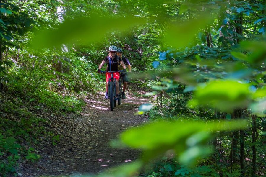 From Prague: E-Mountain Biking Trip to the Bohemian Paradise - The bikes, guide, and group size
