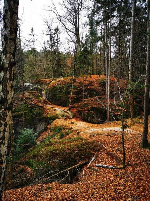 From Prague: Full-Day Bohemian Paradise Guided Hiking Trip - Why Bohemian Paradise makes a better day trip than another Prague sight