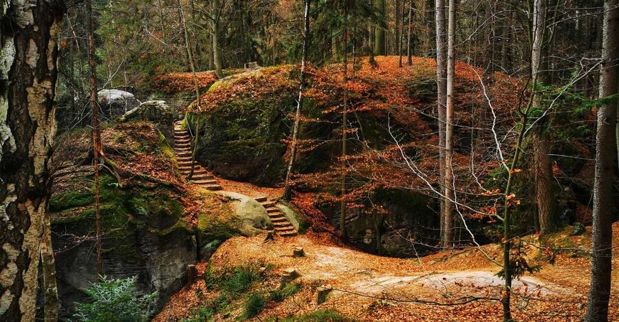 From Prague: Full-Day Bohemian Paradise Guided Hiking Trip - Mary’s Rock and Castle View deliver the best photo stops