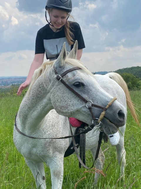 Horseback riding tour near Prague - Meeting the horses at Lucký mlýn