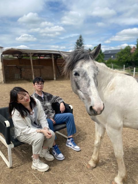 Horseback riding tour near Prague - The lake option in hot weather