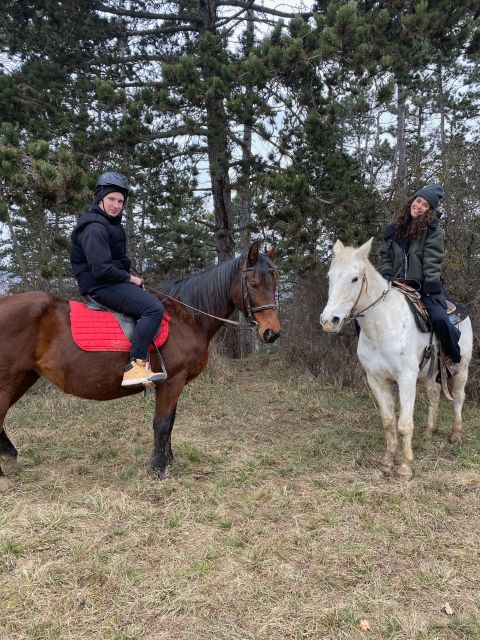 Horseback riding tour near Prague - Is this horseback ride worth booking?