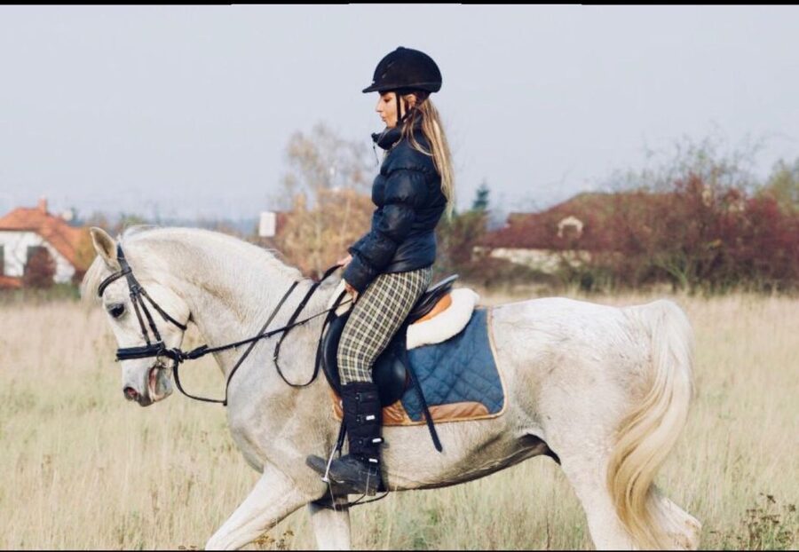 Horseback riding tour near Prague - Through the forests and fields near Mníšek pod Brdy