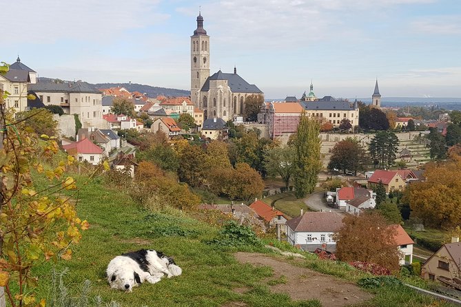 Kutná Hora and Bone church - private tour with PERSONAL PRAGUE GUIDE - The Cathedral of Assumption and its attic view