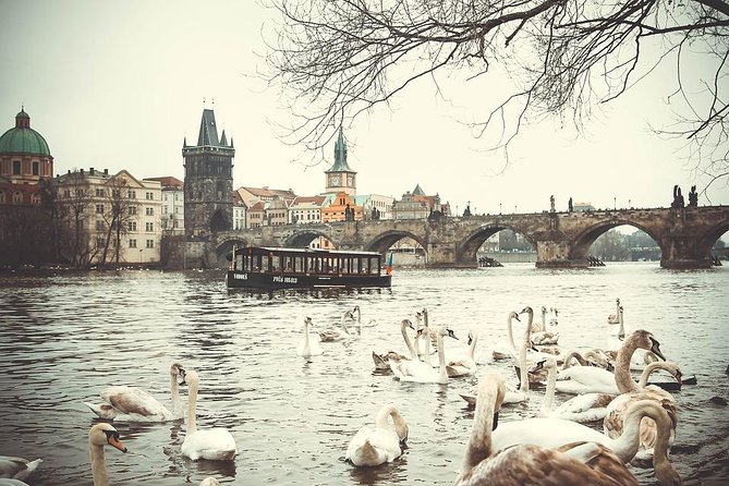 Magical Prague Private Half-Day Tour - Old Town in 40 minutes