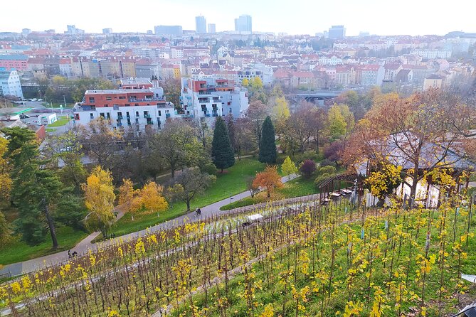 Non-touristy Prague - Cozy Neighborhoods - Private Tour - Vinohrady: villas, parks, and a calmer pace