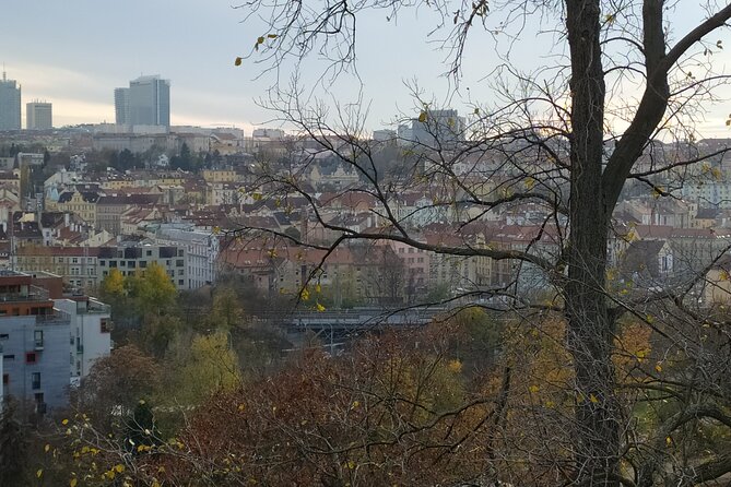 Non-touristy Prague - Cozy Neighborhoods - Private Tour - Grébovka and the pleasure of Prague’s parks