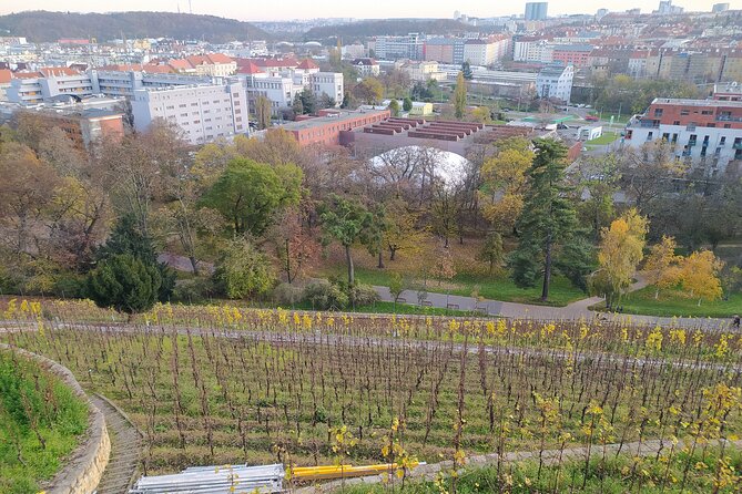 Non-touristy Prague - Cozy Neighborhoods - Private Tour - Folimanka Park and the Botič valley