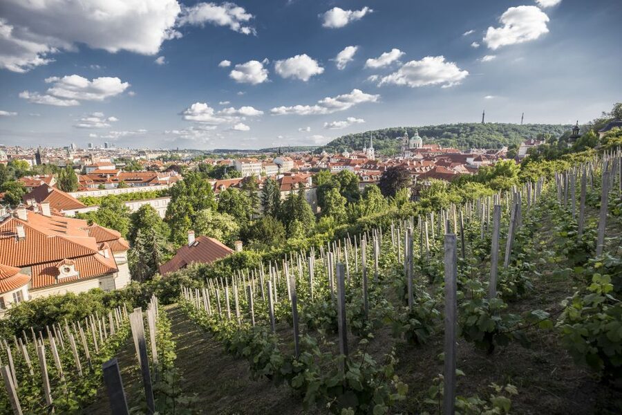 Prague: 3–Hour Castle Grounds Walking Tour and River Cruise - A gentle introduction to Prague’s major sights