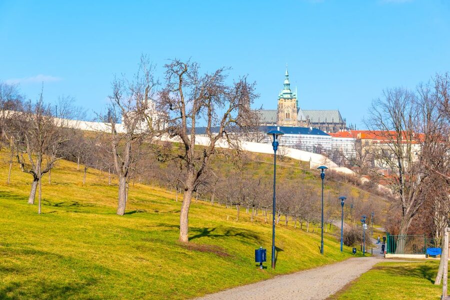 Prague: 4-Hour Segway and Scooter Tour with Lunch and Drinks - Key points to know before you book