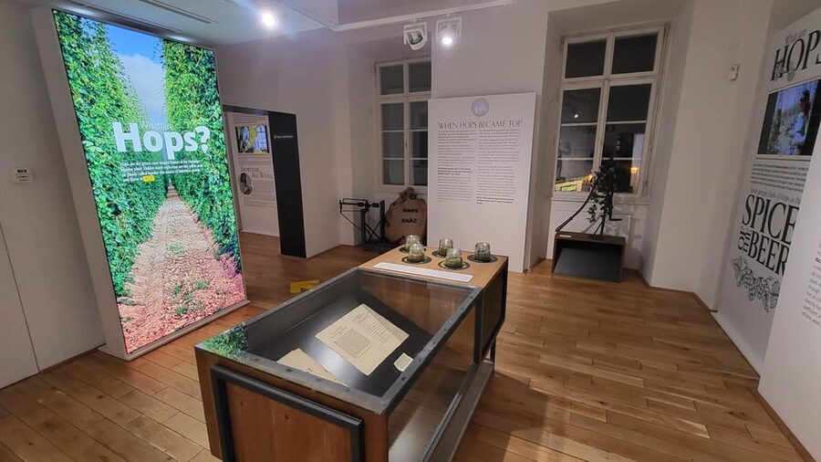 Prague: Beer Museum Tour with Tasting and Beer Bottling - Who Will Enjoy This Beer Museum Most