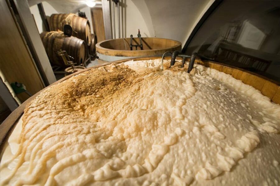 Prague: Beer Tasting and Brewery Tour - The New Town Hall pause