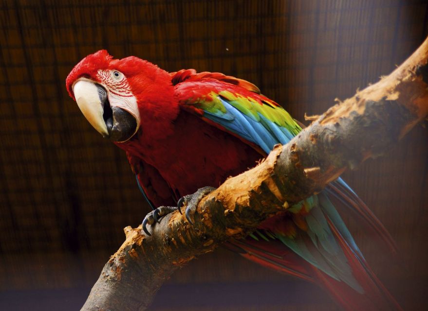 Prague: Boat Ride to the Zoo and Admission Ticket - The Indonesian Jungle, African House, and Gorilla Pavilion
