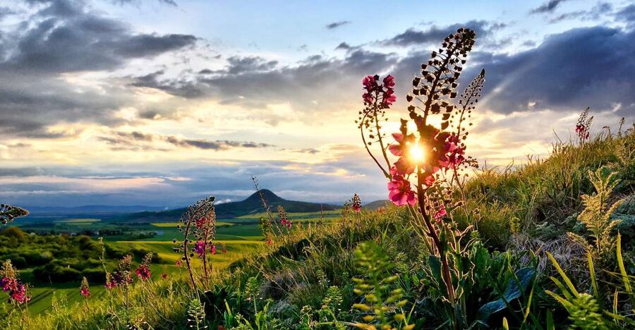 Prague: Bohemian Uplands Garnet Panning&Animal Farm 4WD Tour - What the $283 price really includes