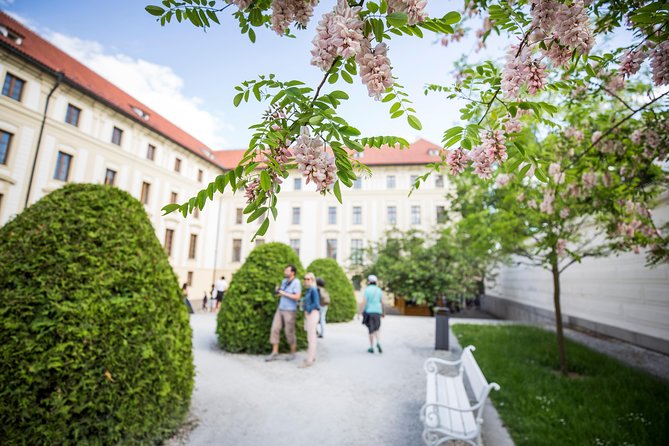 Prague Castle and Canal River Boat Tour - Walking, timing, and the real value