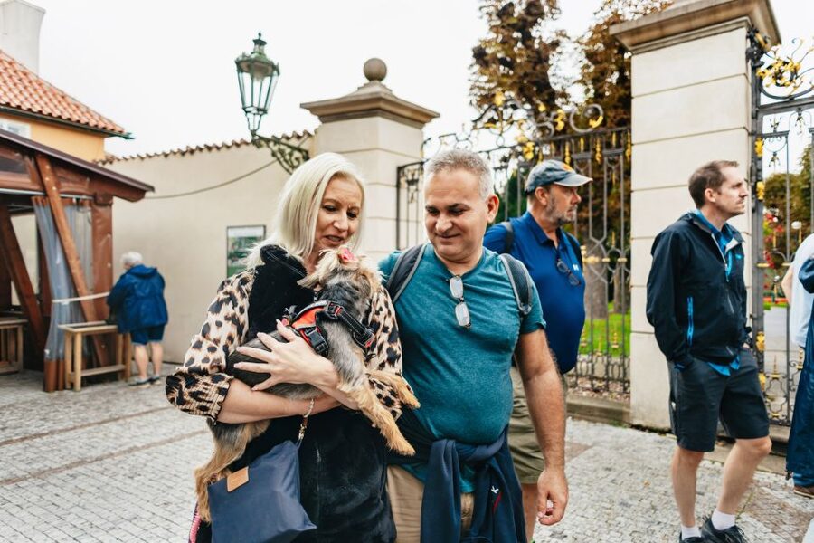 Prague: City Highlights By Bus, Boat, and on Foot - Who will get the most from this tour?