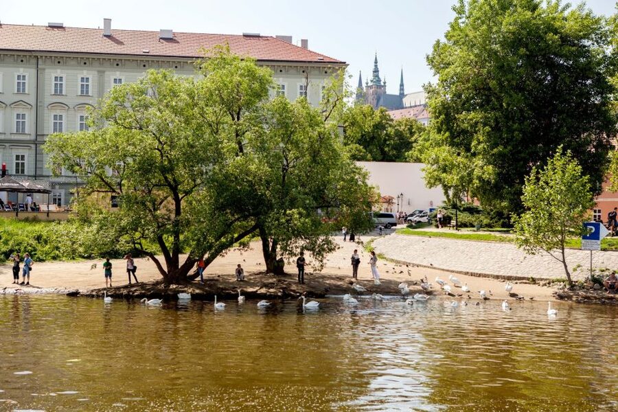 Prague Cruise: 1-Hour on the River Vltava - Audio commentary, not a live guide