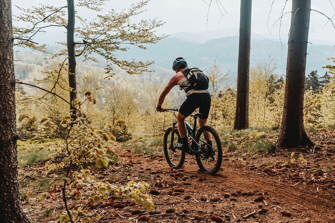 Prague E-Mountain Biking Adventure In The Bohemian Paradise - What the e-bike changes
