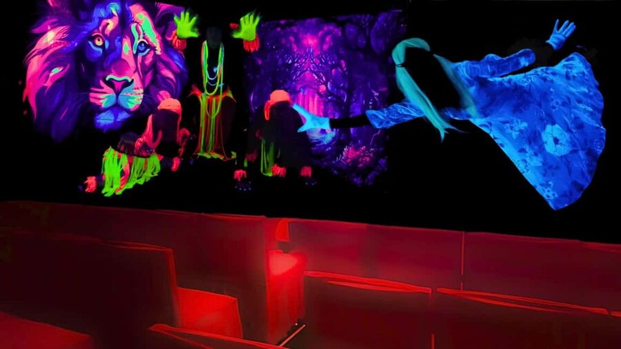Prague: Images of Love Black Light Theatre Show - Should you book Images of Love?