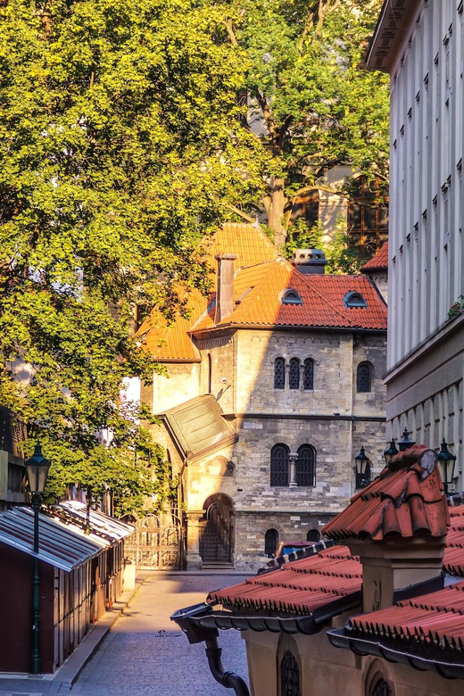 Prague: Jewish Quarter Half-Day Private Walking Tour - The Judaica collection and why the guide matters