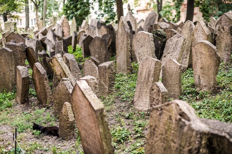 Prague: Jewish Quarter Walking Tour with Admission Tickets - Is the $76 price good value?
