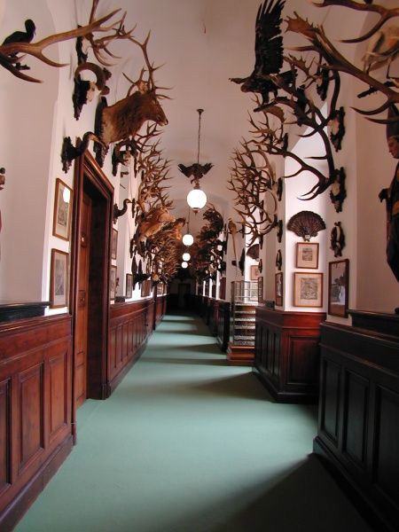 Prague: Karlštejn Castle Guided Tour with Entry Ticket - Practical details before you reserve